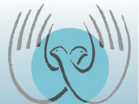 Healing Hands Network