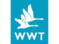 WILDFOWL AND WETLANDS TRUST