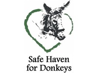 Safe Haven for Donkeys in the Holy Land