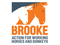 Brooke Action For Working Horses And Donkeys