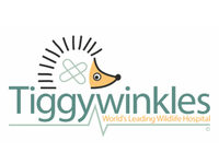 Tiggywinkles, The Wildlife Hospital Foundation
