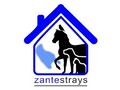 Zante Strays