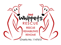 JUST WHIPPETS RESCUE