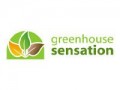 Greenhouse Sensation