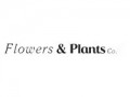 Flowers & Plants Co