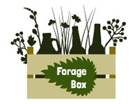 Forage Box