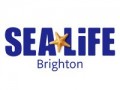 SEA LIFE Brighton