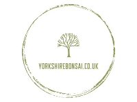Yorkshire Bonsai