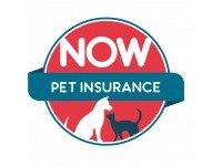 NOW Pet Insurance