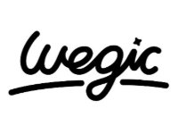 Wegic