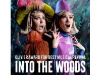 Into the Woods