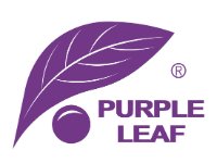 PURPLE LEAF