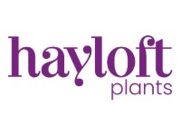 Hayloft Plants