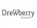 Drewberry Income Protection Insurance